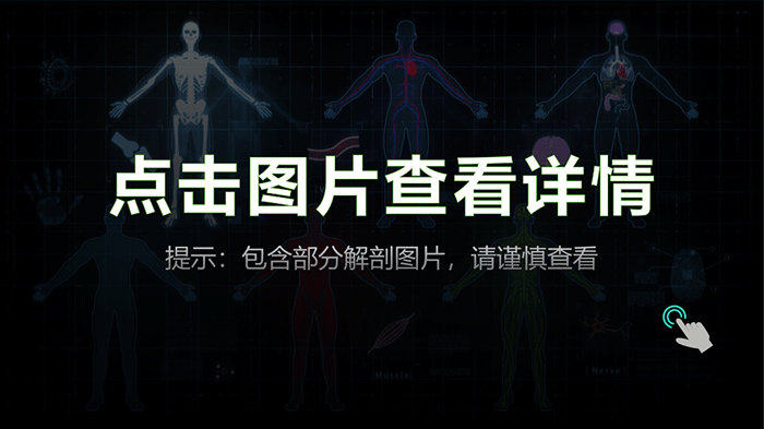 3D掃描儀應用于人體解剖——標本3D數(shù)字化和存檔